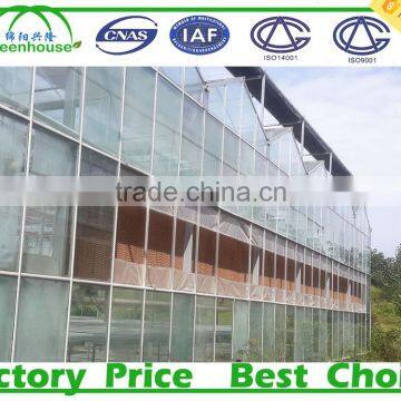 High Light Transmission Multi-span Glass Greenhouse photo-2