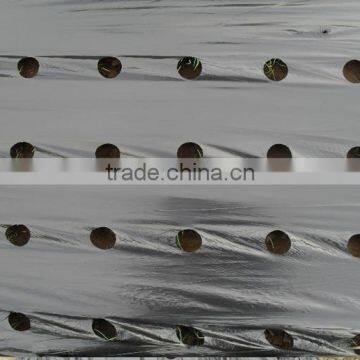 White/silver Effective Mulch Film for Strawberry photo-3