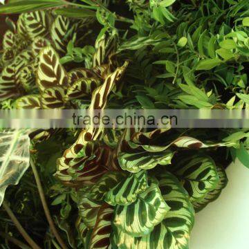 Home and Outdoor Decoration Synthetic Cheap Artificial Vertical Green Grass Wall E08 04Q47 photo-2