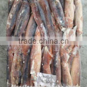 Frozen Seafood Importers of Illex Squid photo-3
