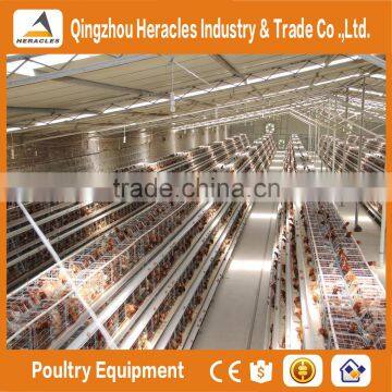 Heracles Factory Price Chicken Layer Cage- A Type of Poultry Cage