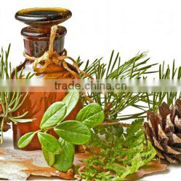 Pine Oil photo-3