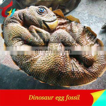 Simulation Dinosaur Egg Fossil Hatching Dinosaur Eggs