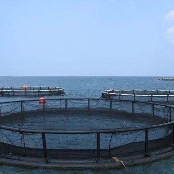 Floating Fish Cages Farming Salmon Cages Polyethylene