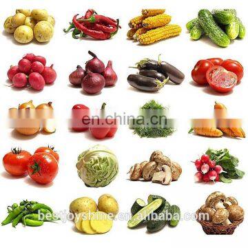 Industrial Automatic 100kg 500kg Vegetable Fruit Washing Machine photo-2