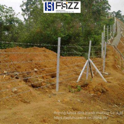 General Purpose Double-Strand Twisted 304 Stainless Steel and Galvanized Steel Barbed Wire photo-4