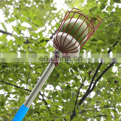 Cost Effective Stainless Steel Garden Tool Papaya Berry Telescopic Pole Mango Picker