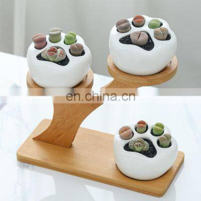 Simple White Creative Succulents Ceramic Cute Kitten Claw Treetop Planter Bamboo Stand Combination Potted Flowerpot