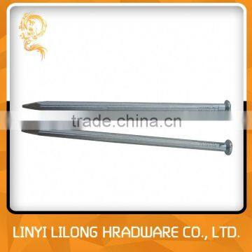 Galvanized Nails With Large Head