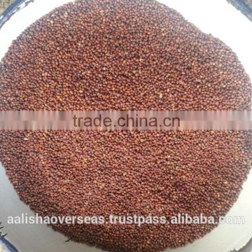 Red Mustard Seeds