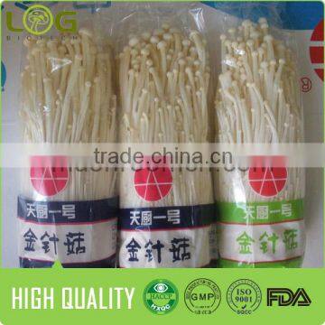 Fresh Flammulina Velutipes Enoki Mushroom