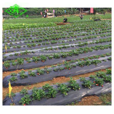 30mic Plastic Mulch Film for Strawberry photo-2