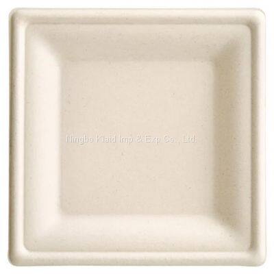 6” Bagasse Eco-Friendly Disposable Biodegradable Plates Sugarcane Bagasse Square Plates Oval Plates (500/ Case) photo-2
