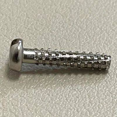 BMW Anti-theft Screw,special Drive, SS304 Material,OEM & Small Order ok photo-4