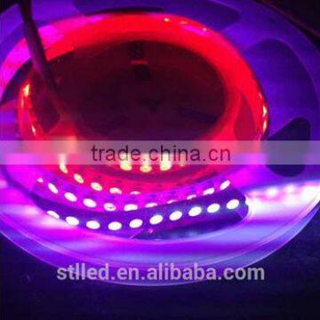 New arrive cheap shenzhen ws2811 led strip DC5V 12V smd 5050 rgb flexible led strip lights for clothes