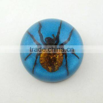 2016 new style business particularly paperweight with real insect spide