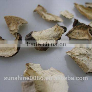 Edulis Porcini Mushrooms Grade AAA Boletes From Yunnan Sunshine Trading Co.,Ltd photo-3