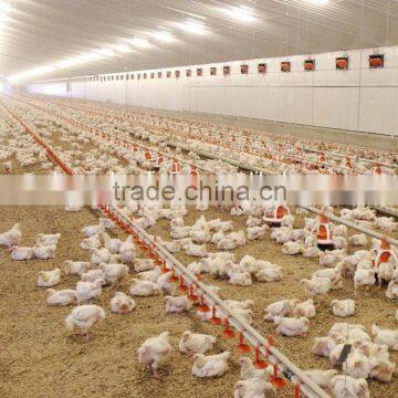 Full Set High Quality Automatic Poultry Feeder and Drinker Equipment