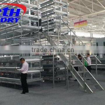 Poultry Farm Feeding Equipment Chicken Feeder photo-6