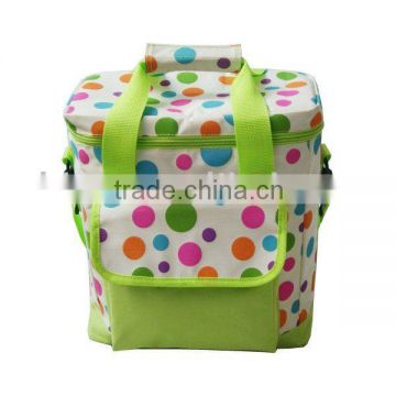 Fashional Cooler Bag