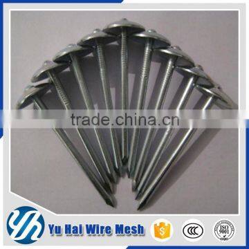 15 degree wire coil galvanized roofing nails                        
                                                                                Supplier's Choice