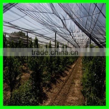 Strong and Durable Agricultural Protection Anti Hail Net/hail Screen photo-2