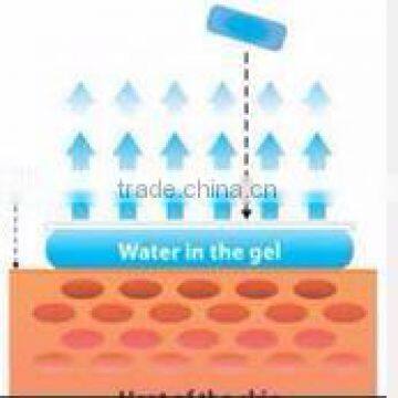 Heenplus CE FDA Approved Fever Care Supplies Hydro-cooling Patch photo-4