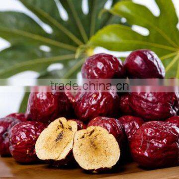 Jujube chinese red dates sweet arabic dates