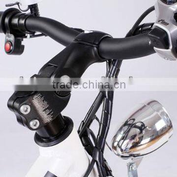 SAMSUNG Li-ion Battery Powerful Electric Bicycle (Model MTB600N)