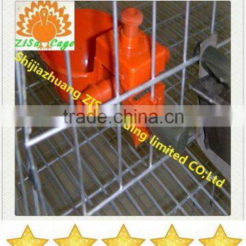 quail cage and water drinker system and feeder