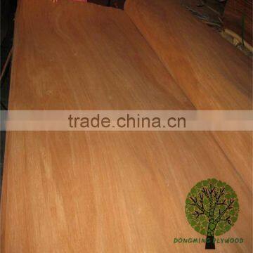 Face Veneer Types of Wood Veneer Red Olive Veneer photo-6