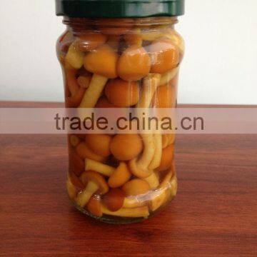 CANNED MARINATED NAMEKO MUSHROOM
