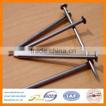 Common Nails/Nail, Common wire nail, Common iron Nails