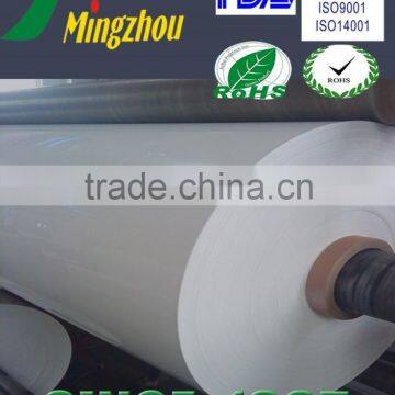 PET High Reflection Film Masterbatch for Solar Reflective Film ,LED Light Box photo-3