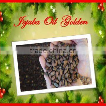 Top Quality & Competitive Price of Jojoba Golden Oil (We do Not Dilute, Mix, Substitute Our Oils)