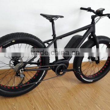 New electric bike with fat tyres for snowy road or beach supplied to Carrefour ( HJ-M20 )