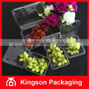 Blister Clamshell Box for Fruit