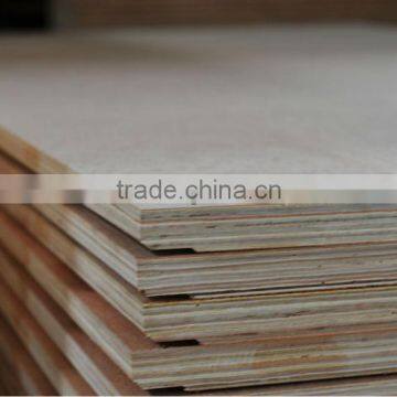 CONTAINER PLYWOOD