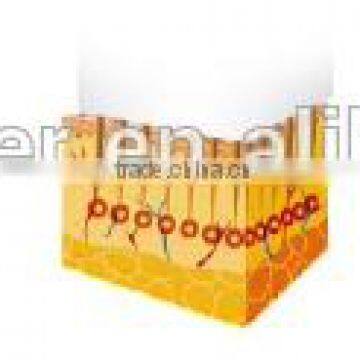 Auto Micro Needle Therapy System Stretch Marks Removal Fractional FR Korea photo-6