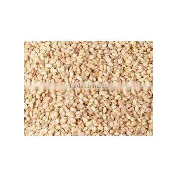 Natural Sesame Seed