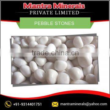 Widely Demanded Pebble Stones for Various Decorative Applications