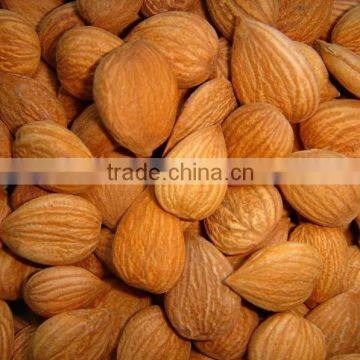 HPS Bitter Apricot Kernels / Sweet Almond photo-2