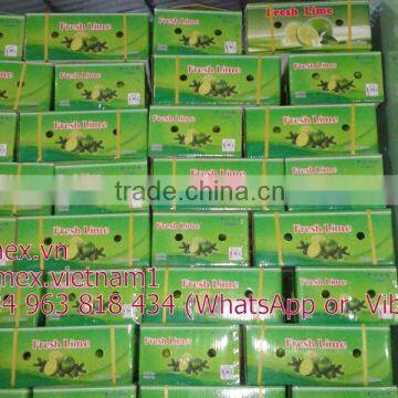 Fresh Lemon High Quality Seedless Gimex 2015 photo-3