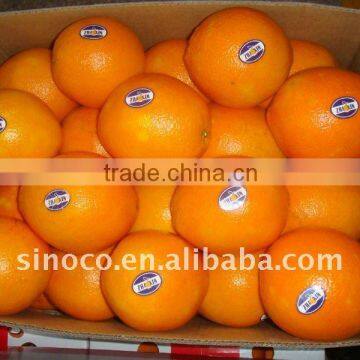 Fresh Navel Orange