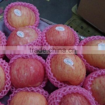 Fresh Fuji Apple low price 16$