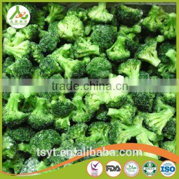 chinese fresh green broccoli flower with best quality