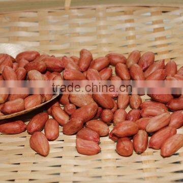 New Crops Red Skin Peanut Kernel photo-3