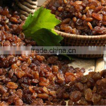 DRY INDUSTRIAL RAISIN FROM INDIA photo-2