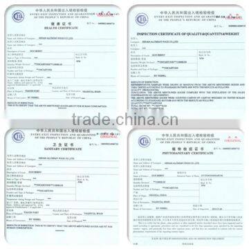 Alchemy Walnut Kernel for Hot Sale and With Best Price and Alchemy Food for Snack photo-5