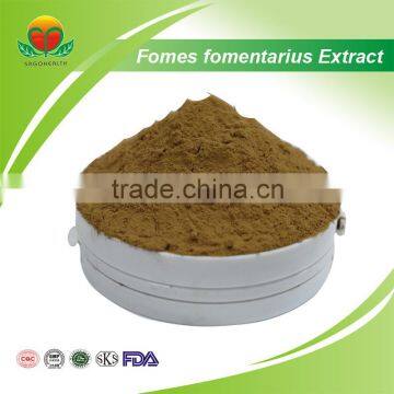 2016 Hot Sale Fomes Fomentarius Extract Powder